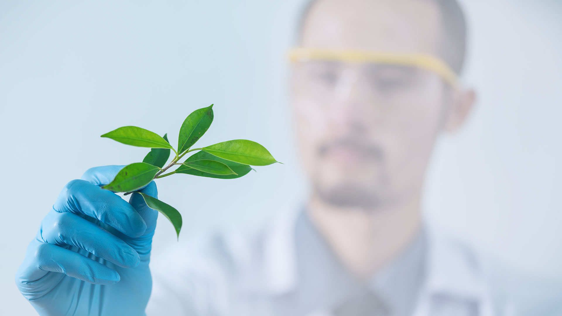 اسلایدر خانه